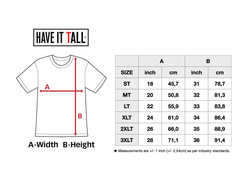 Have It Tall Men's Striped T Shirt